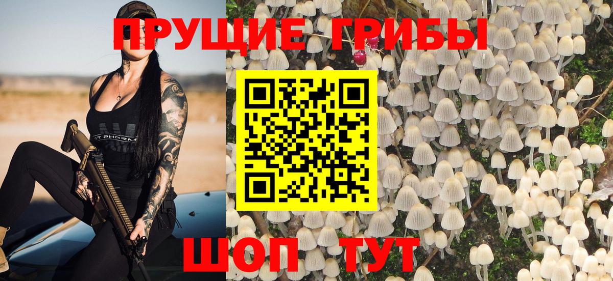 Галлюциногенные грибы ЛСД  Вход с VPN  Дзержинск 